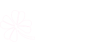 新178视频网